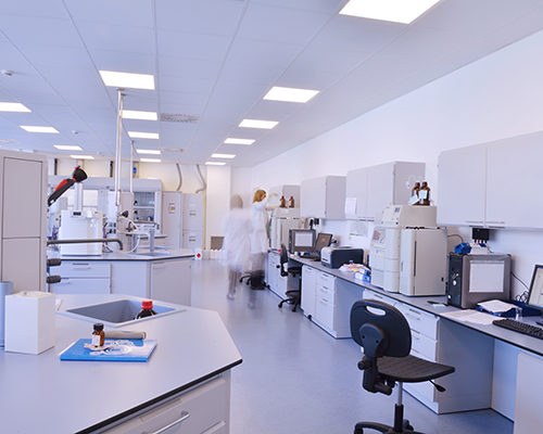 Addiction Medicine NY